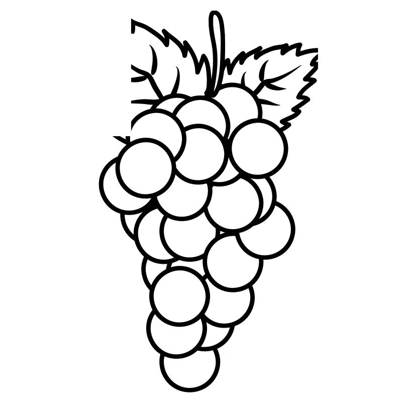 Grapes fruit fruit