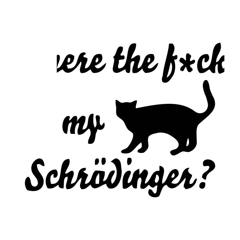 Chat de Schrödinger