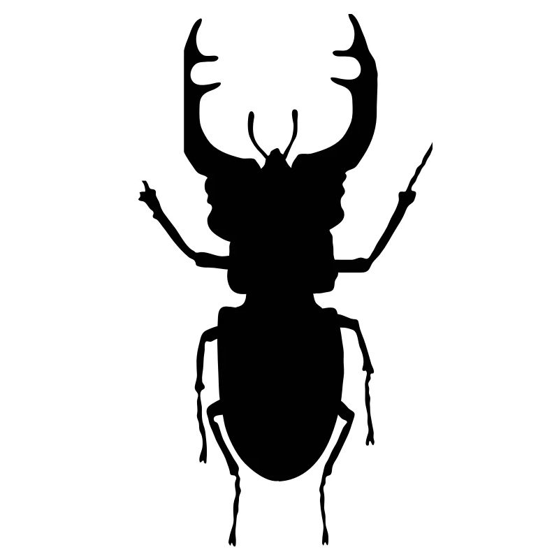 stag- beetle_c1