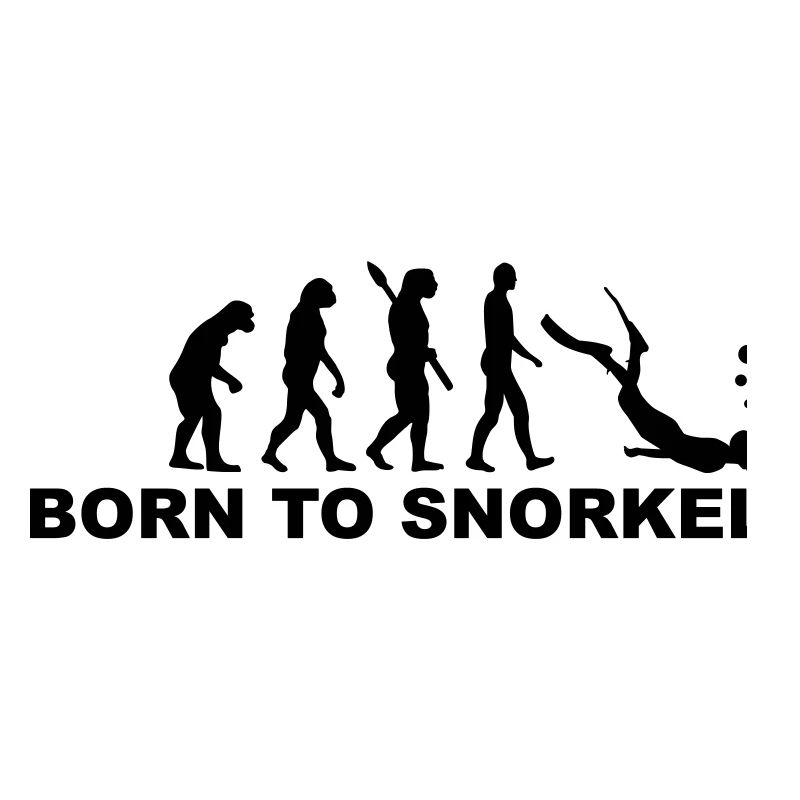 Evolution Snorkeling