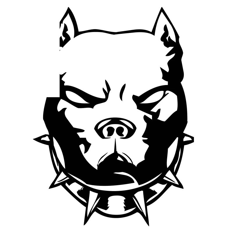 pitbull_01