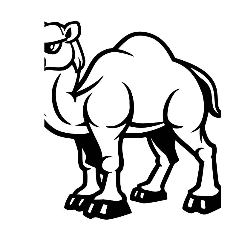 camel