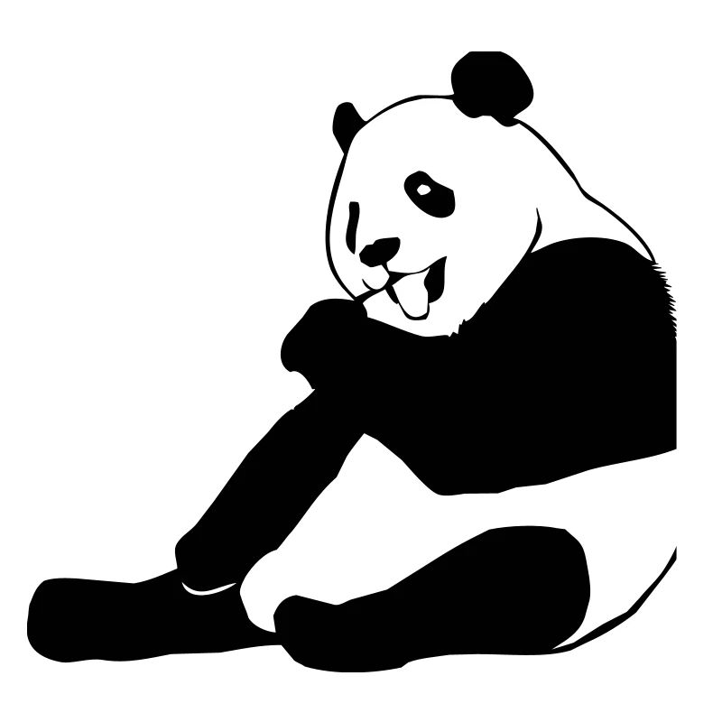 Panda Bear