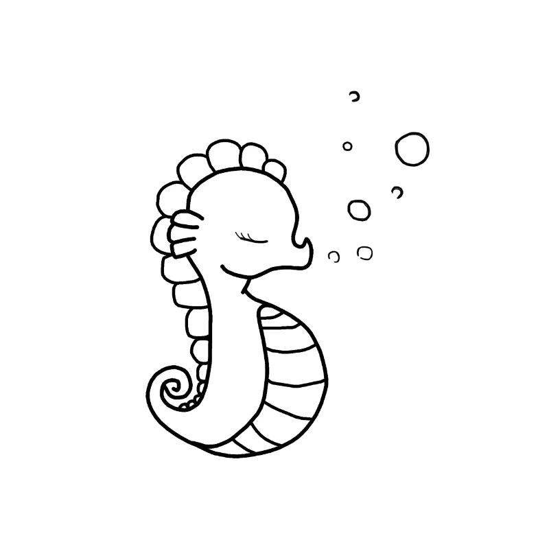 Seepferd Seepferdchen Meerestier