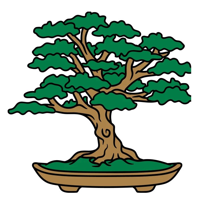 bonsai tree leaves branches small tree