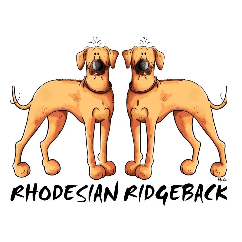 Two Rhodesian Ridgeback