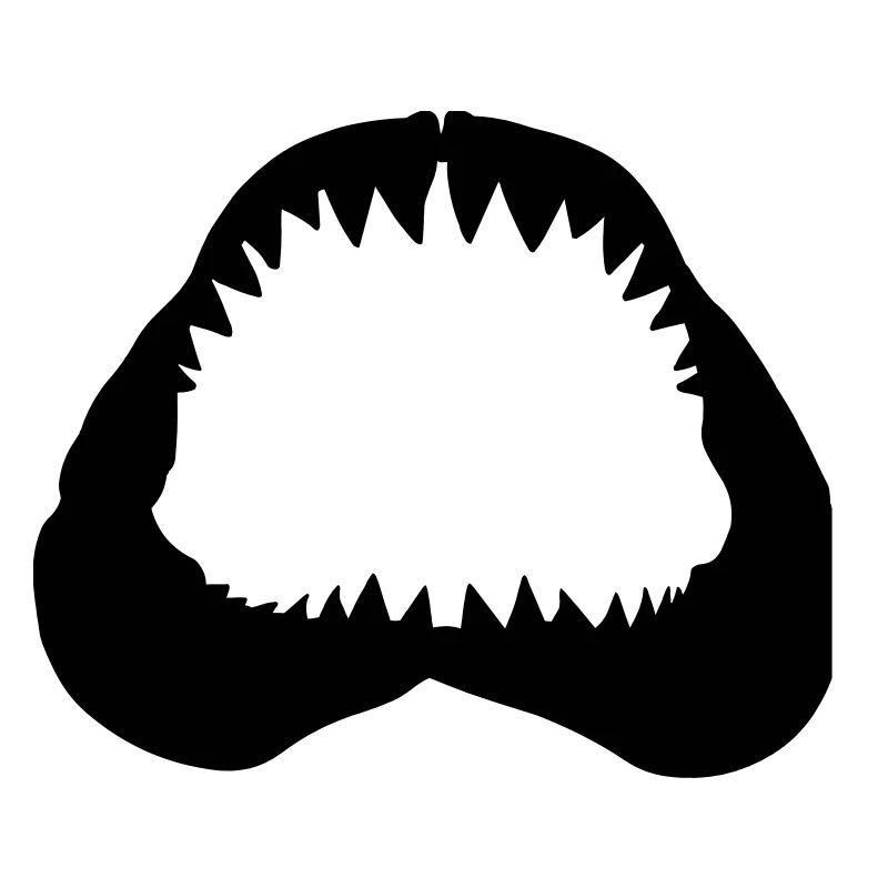 Shark Jawbone