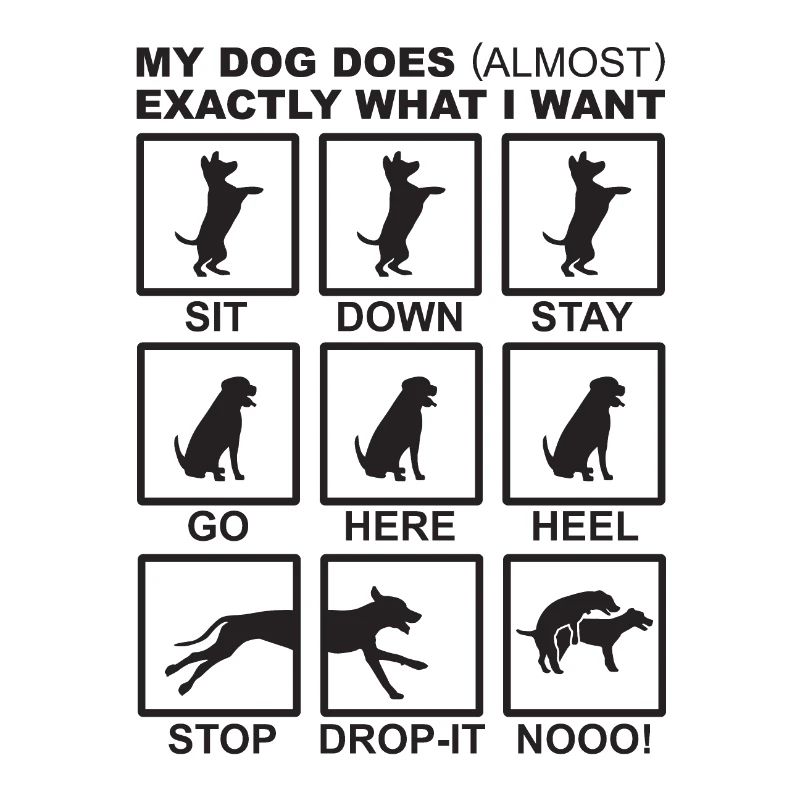 Dog Commands