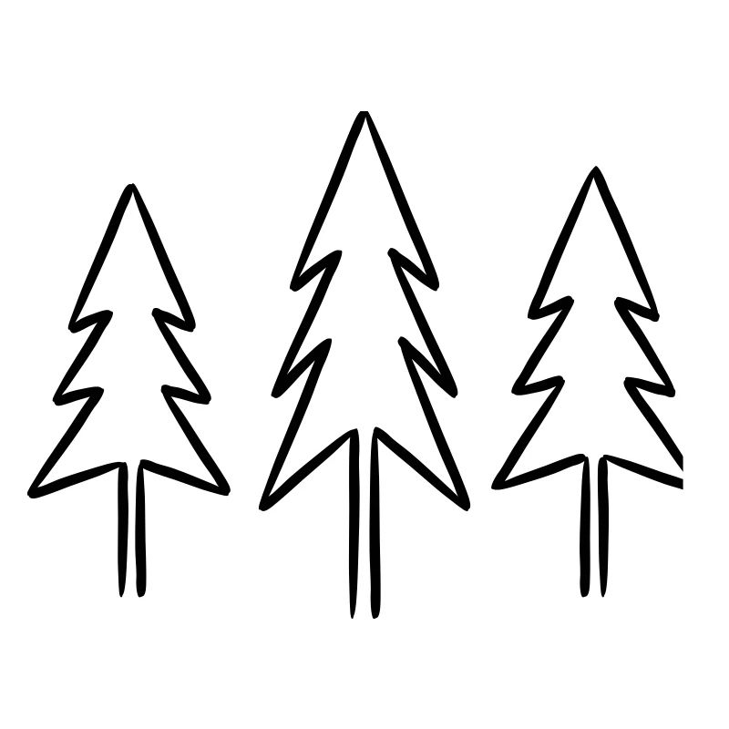 Fir fir trees forest Christmas Advent