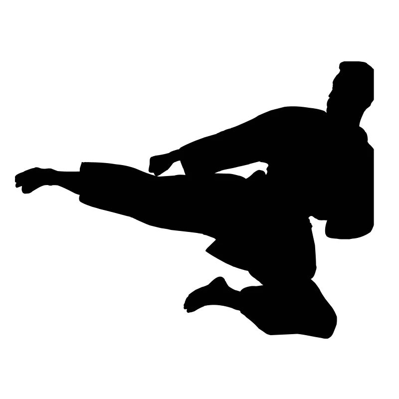Karate or taekwondo jumped sideways