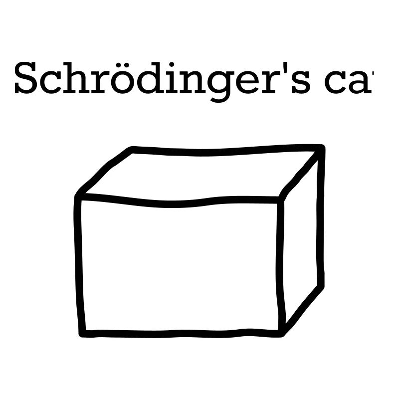 Schrödingers Katze – Lustiges Quantenphysik Nerd