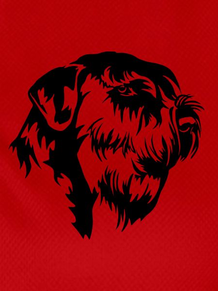 Giant Schnauzer Head