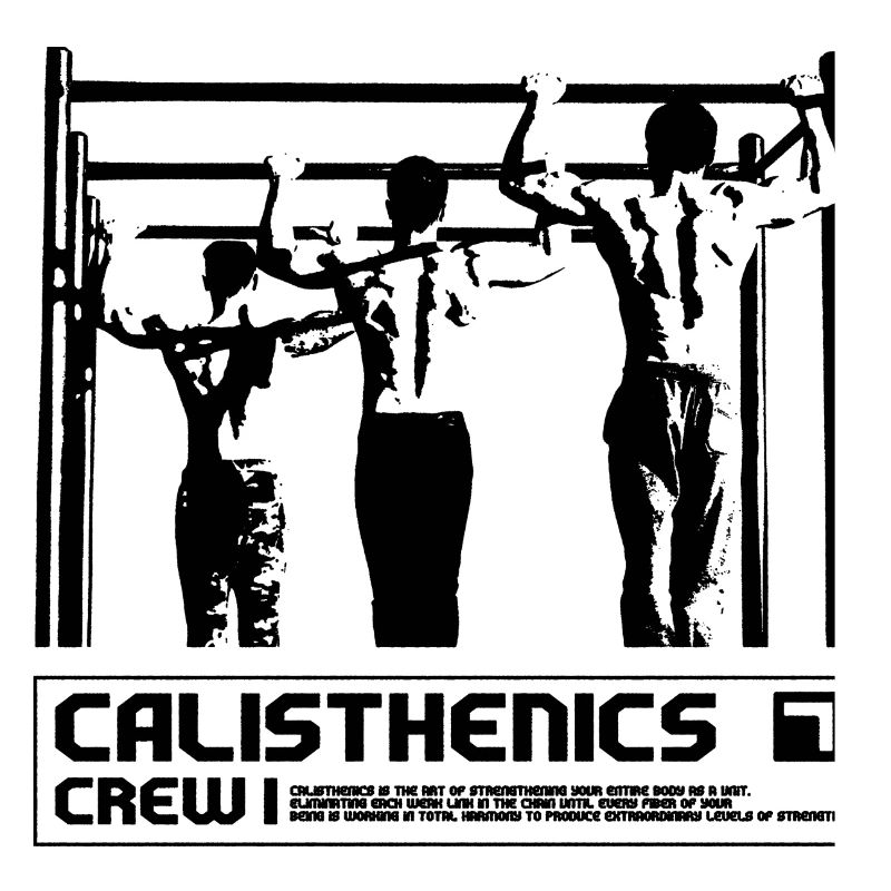 Calisthenics Crew Synchron Pull-Up Design