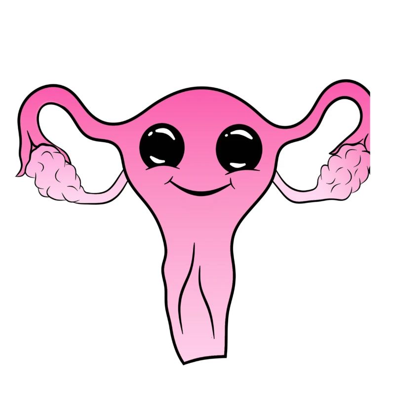 Utérus mignon mignon