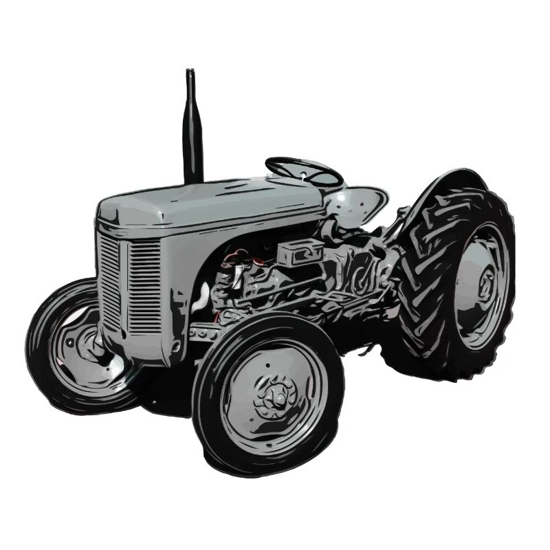 Alter Fergie TE20 Traktor