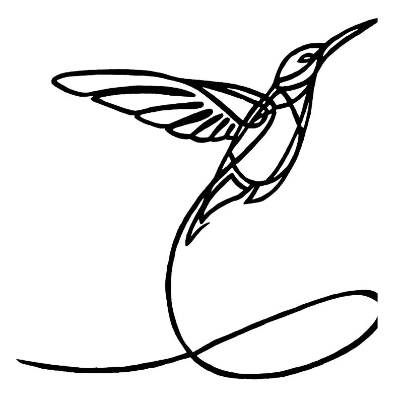Oiseau étrange noir