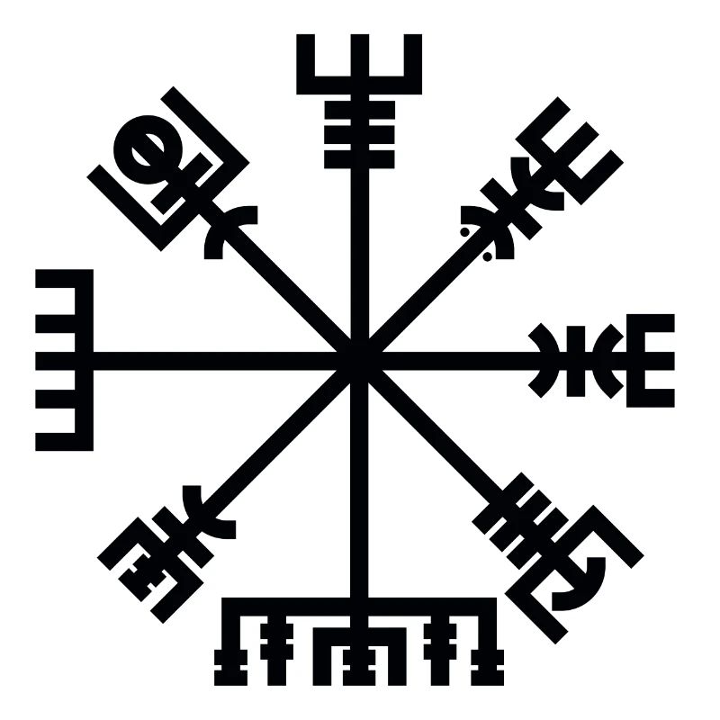 Vegvisir noir