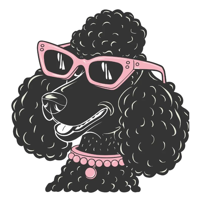 Drôle de caniche