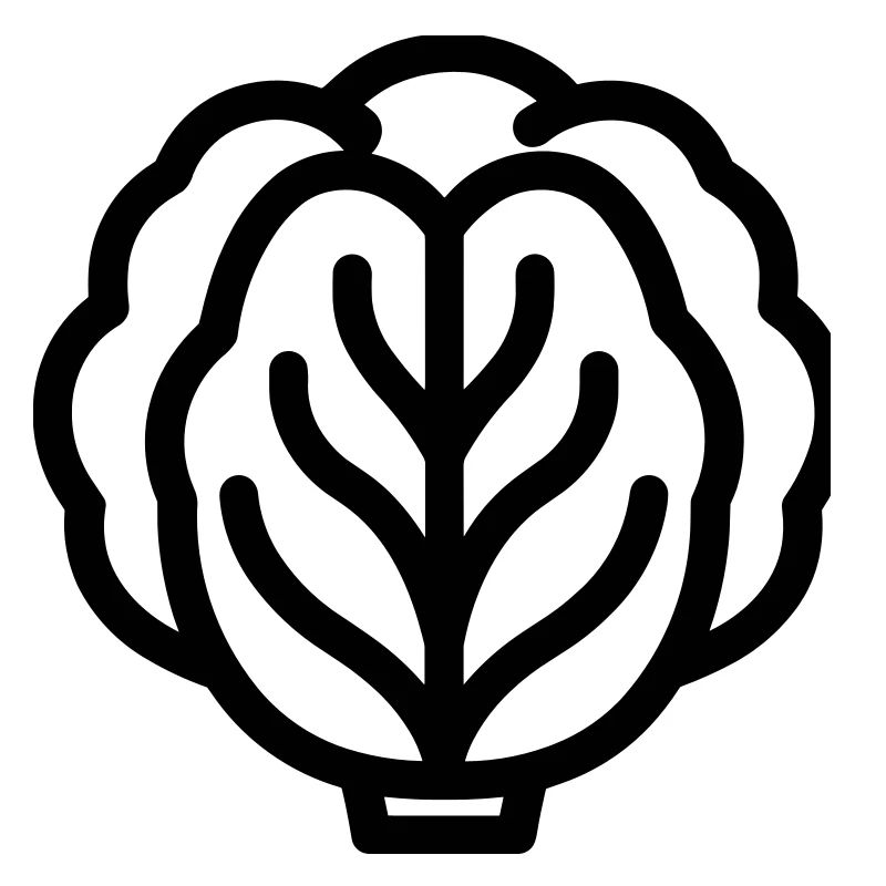 cabbage