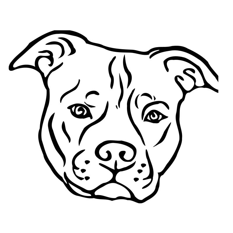 American Satffordshire Terrier Head