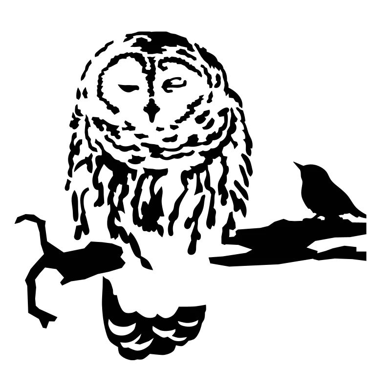 Owl