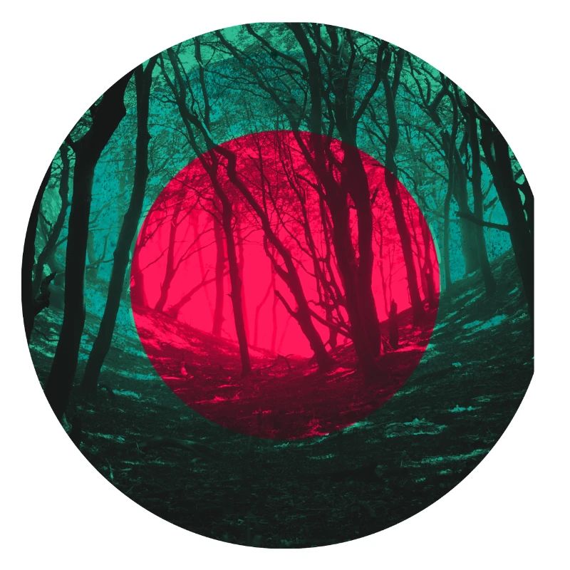 Éclipse de forêt