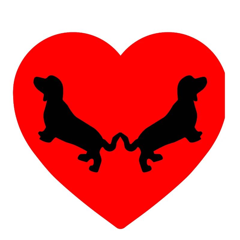 Dachshund