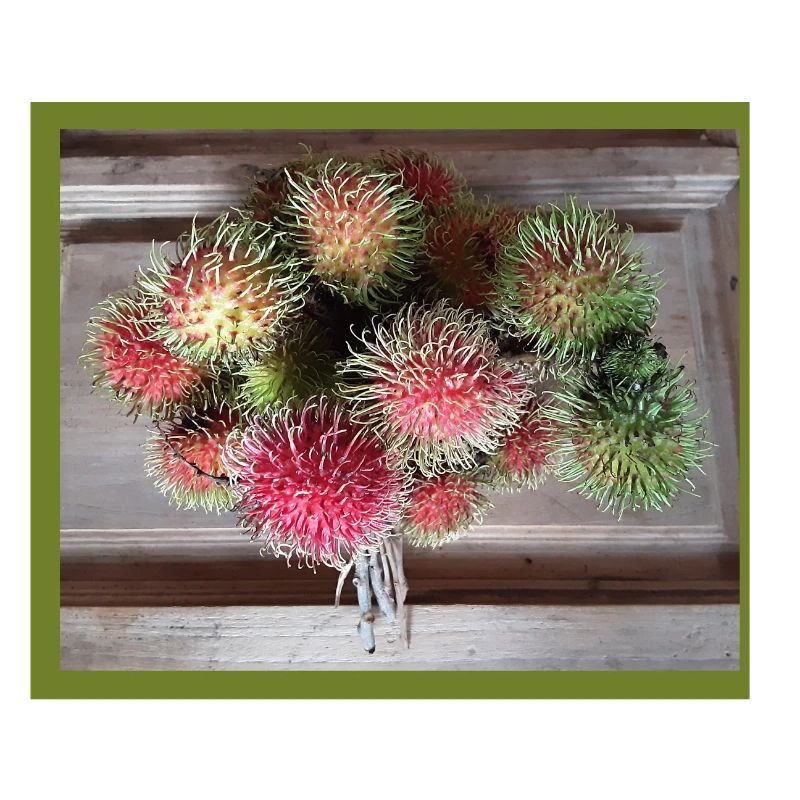 Lychee fruit