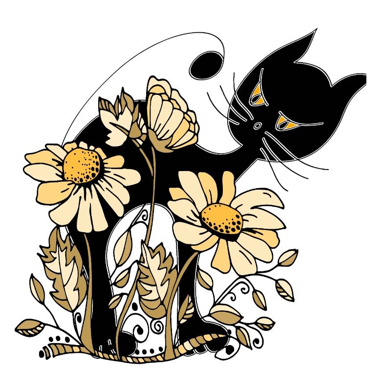 chat