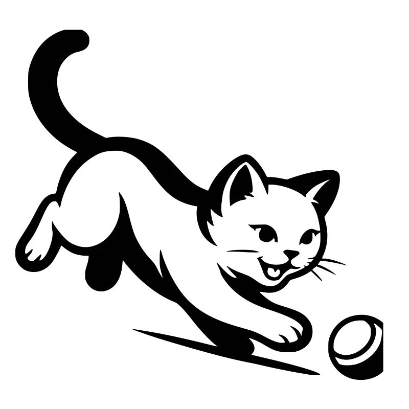 Chat