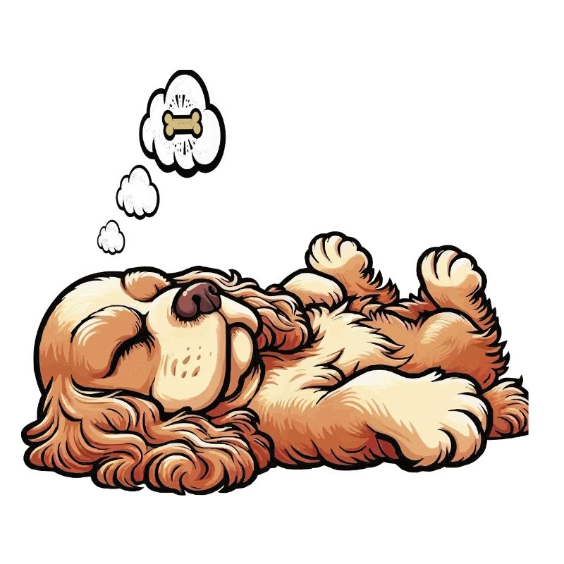 Cocker Spaniel Cockerhund Cocker Spaniel Besitzer