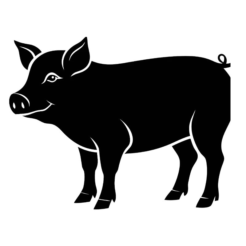 pig