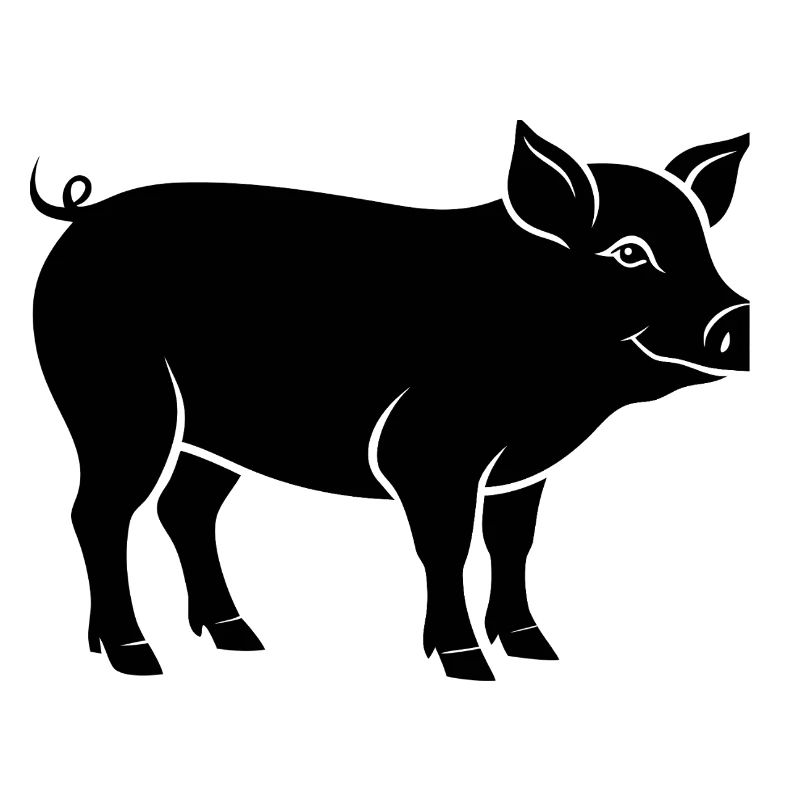pig