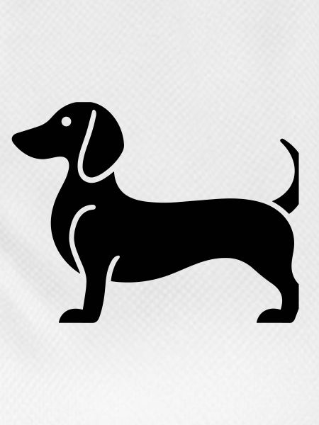 dachshund