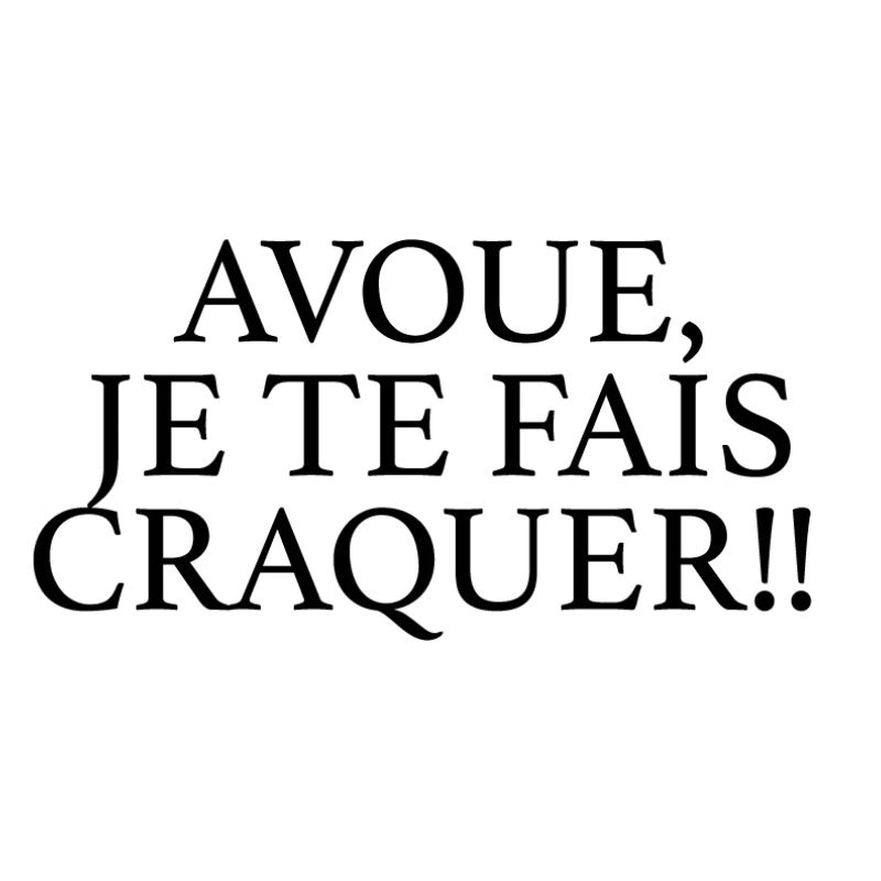 JE TE FAIS CRAQUER