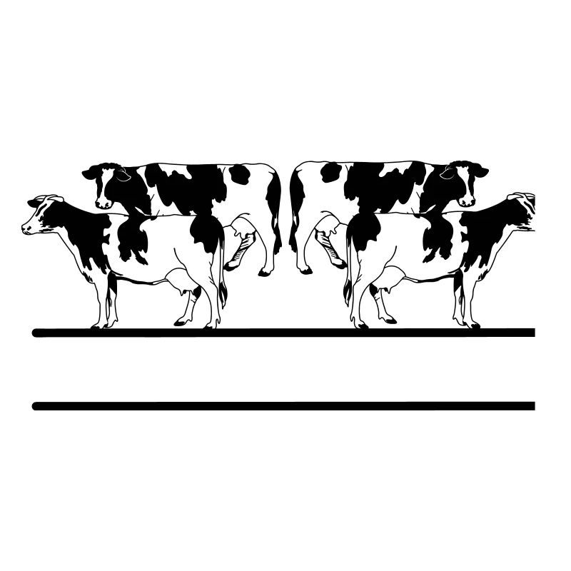 Black and white cows four pieces