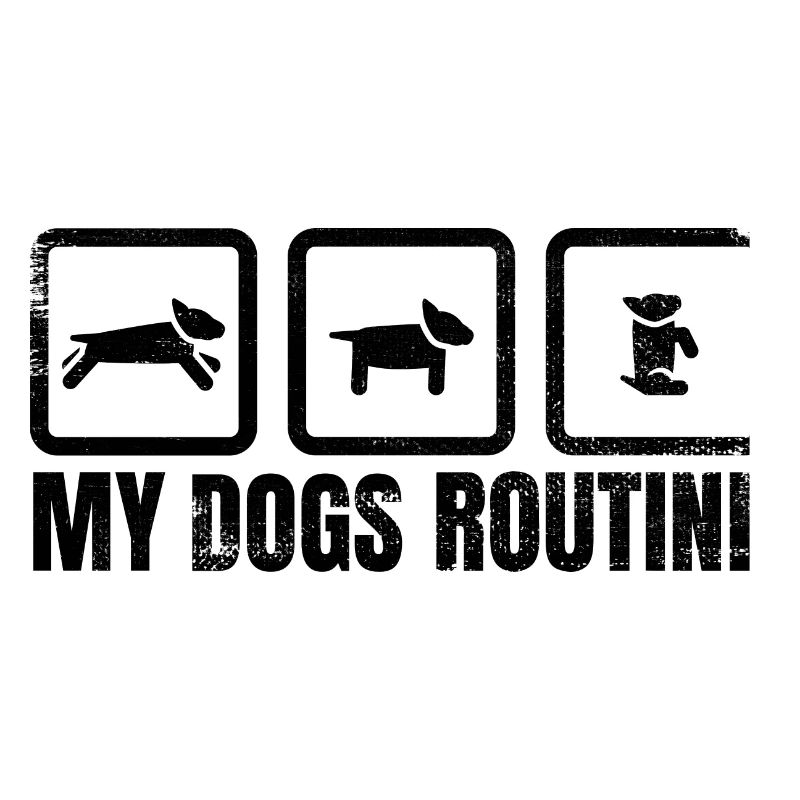 Routine canine
