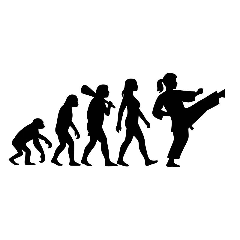 Karate Evolution
