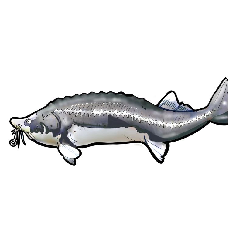 Grubbed Kelfish Tail Pattern