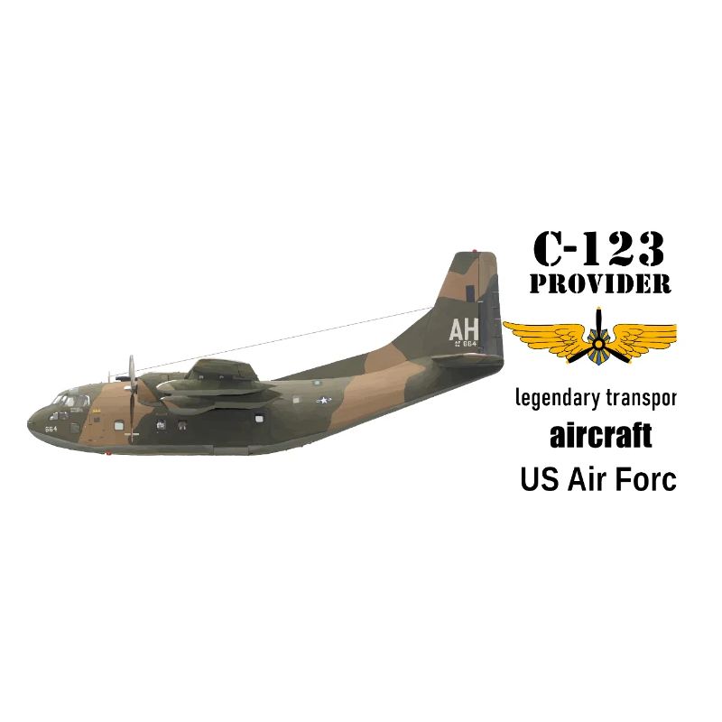 C-123 Provider