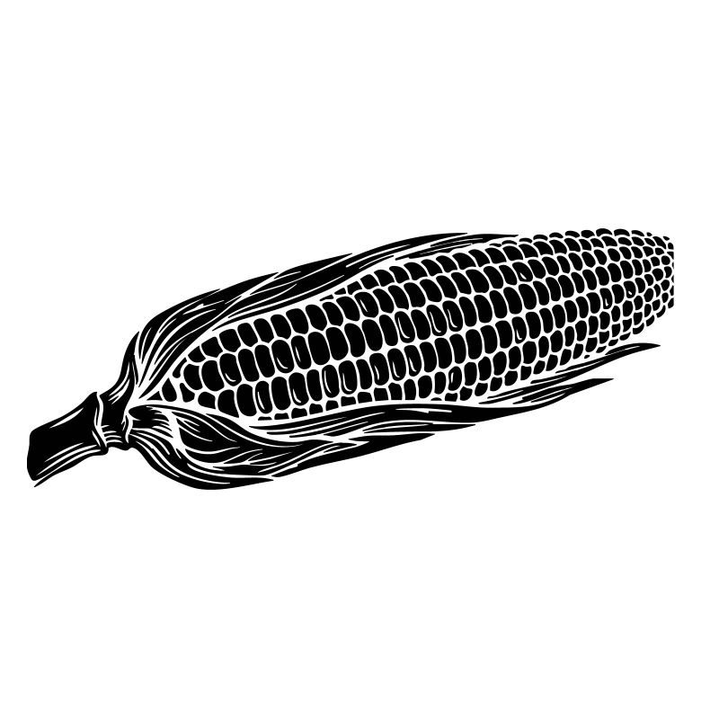 Corn on Cob Silhouette