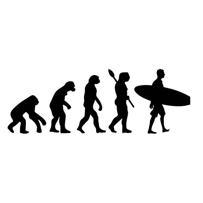 Surfer Funny Human Evolution