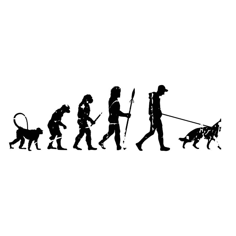 German Shepherd Evolution