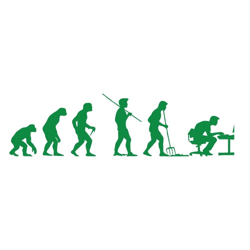 Programmeur Évolution Informaticien Développeur
