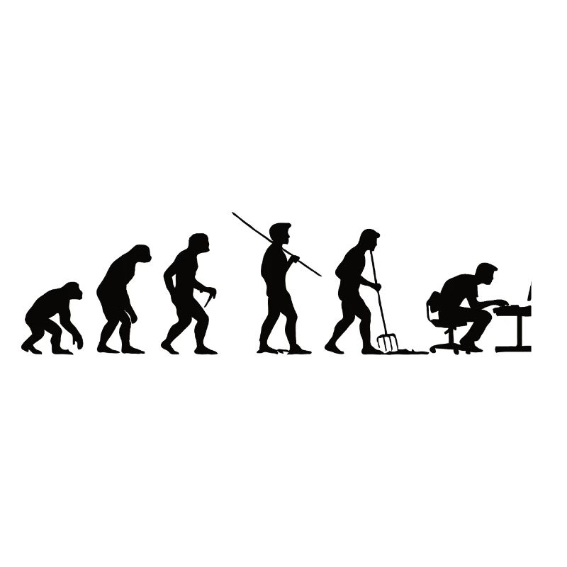 Programmierer Evolution Informatiker Entwickler