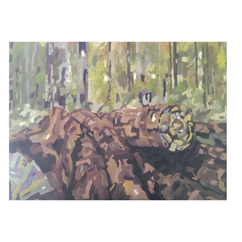 Baumstämme im Wald – eine impressionistische Landschaft