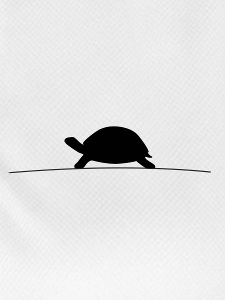 Turtle Silhouette