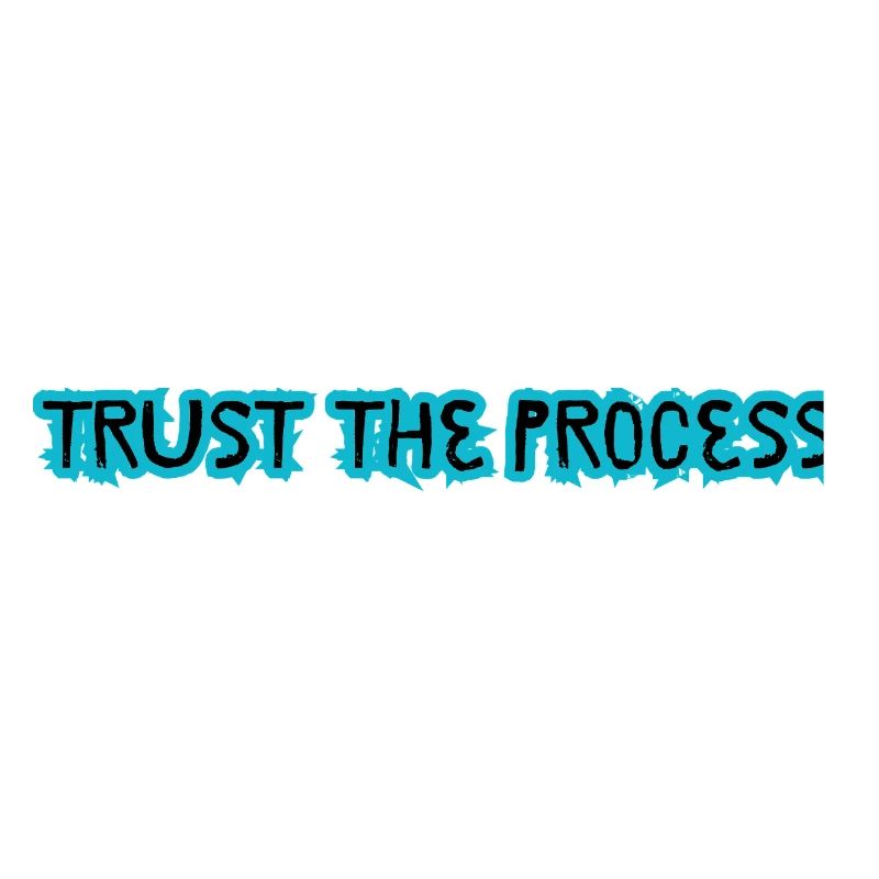 TRUST THE PROCESS conception