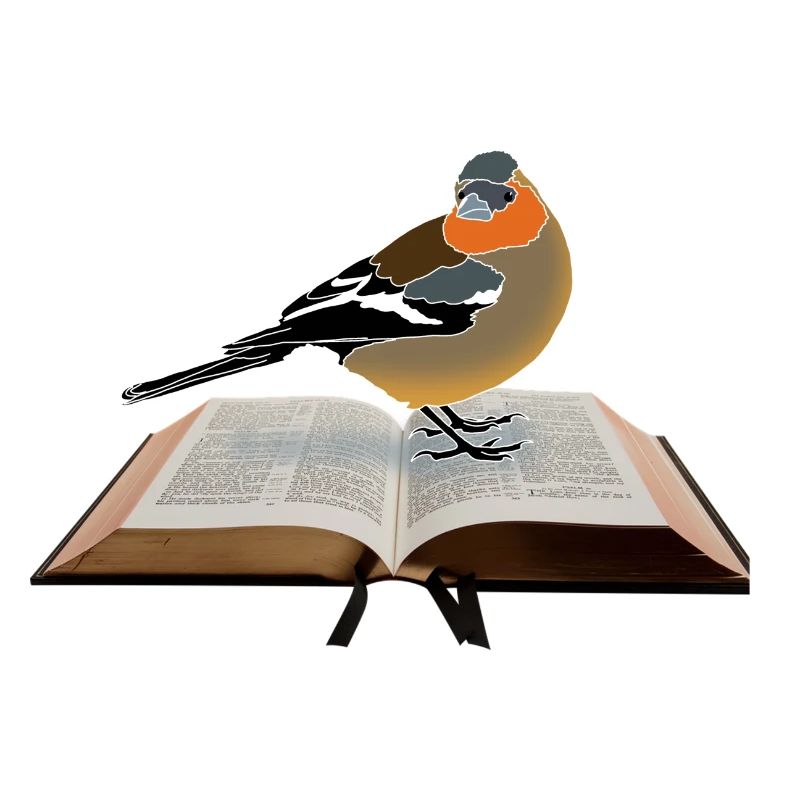 Chaffinch on book