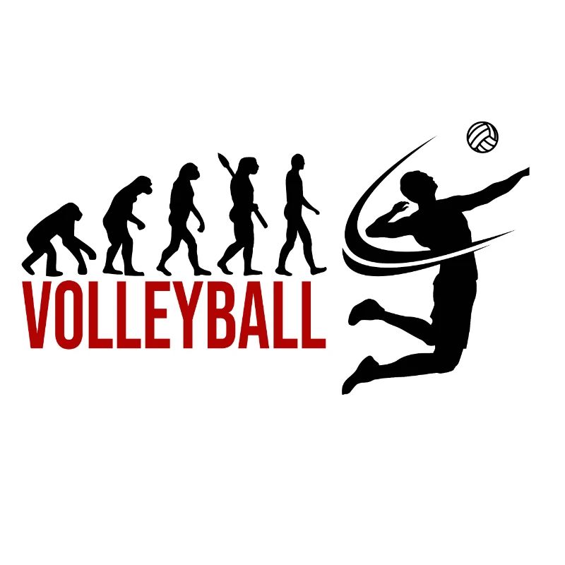 Evolution Volleyball